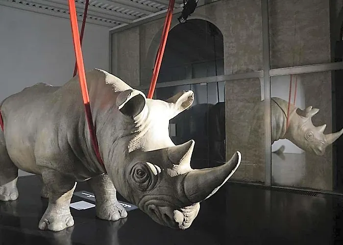 Apart Otel Rhinoceros
